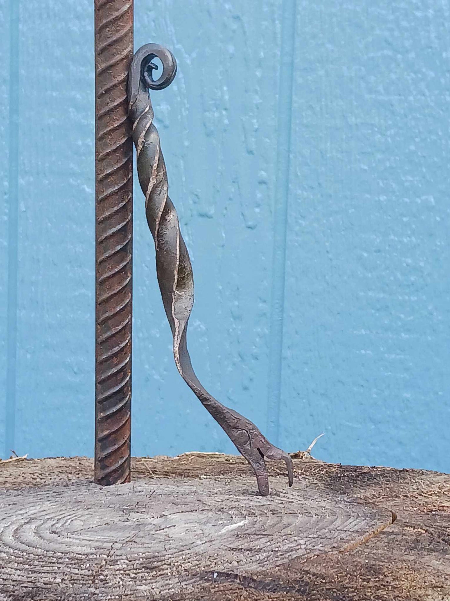 Snake Bottle Opener